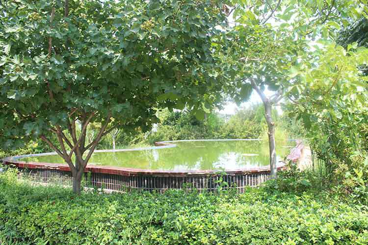 首页 | 尊龙集团官方官网-尊龙(中国)一站式服务官方网站机械厂区环境优美.jpg